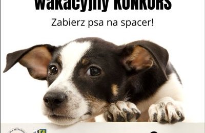 Zabierz pieska na spacer i wygraj konkurs