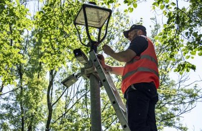 Dekoracyjne oprawy zdobią Park Amendy