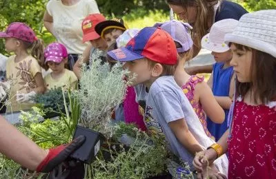 Nowy klomb i łąka kwietna w parku Amendy