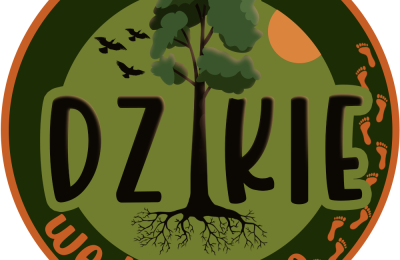 Leśne warsztaty w Segiecie
