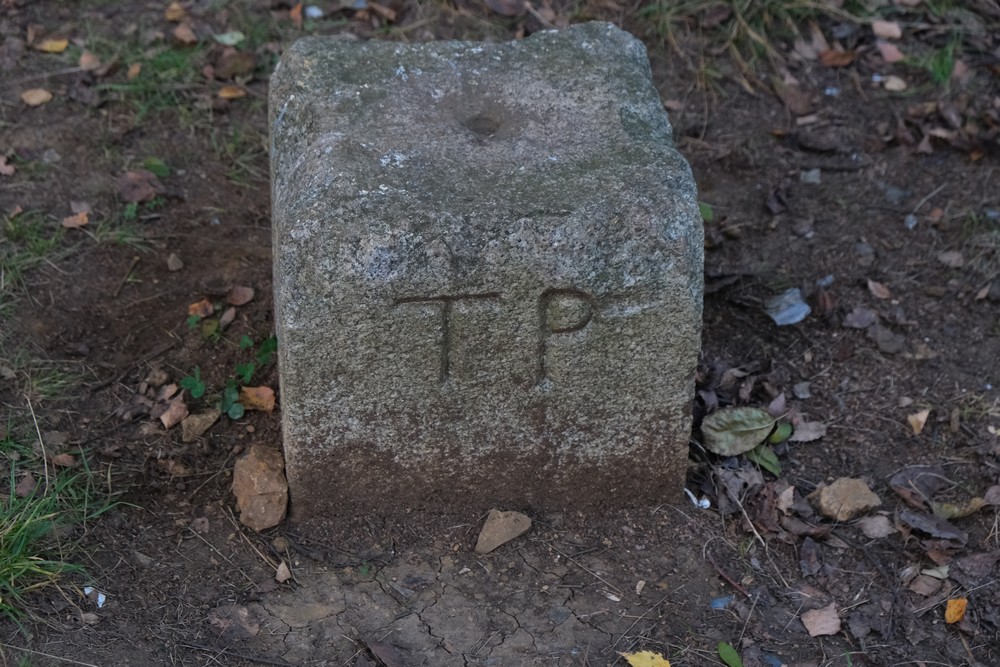 Punkt triangulacyjny, obecnie niepozorny kamień z wyrytym trójkątem i literami TP w Bytomiu - Suchej Górze nazywany jest śląskim Greenwich i stanowi geodezyjne serce Górnego Śląska