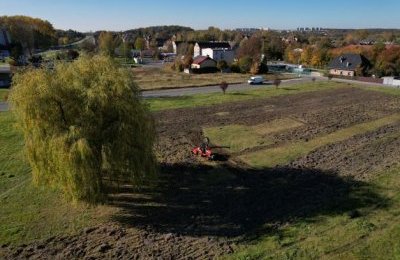 Kolejne łąki kwietne dla Bytomia 
