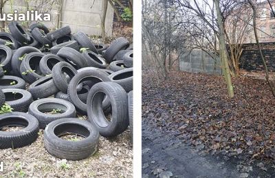 Usunęliśmy opony z dzikiego wysypiska przy ul. M