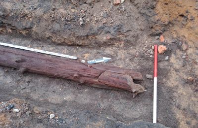 Archeologiczne odkrycie na ul. Piekarskiej. To dre