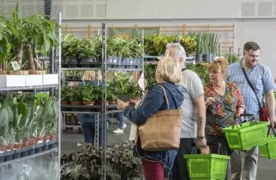 Kwiaty zawładnęły Halą na Skarpie