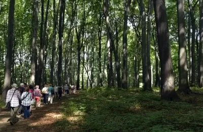 Na spacer po Segiecie