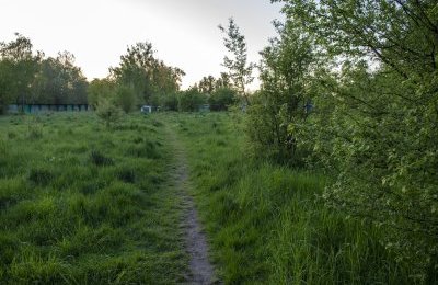 Umowa z wykonawcą Dżońcio Parku podpisana
