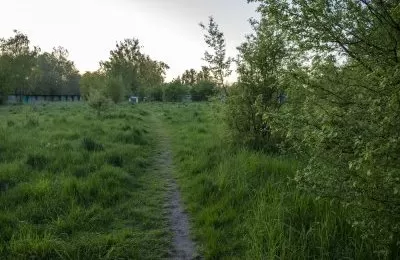 Umowa z wykonawcą Dżońcio Parku podpisana