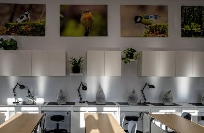 Kolejne zielone pracownie w bytomskich szkołach