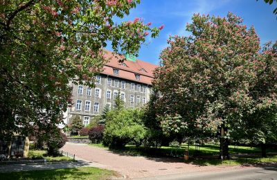 Duże zainteresowanie bytomskimi szkołami ponadpo