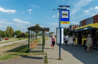 Ekologiczny design i ulga podczas upałów