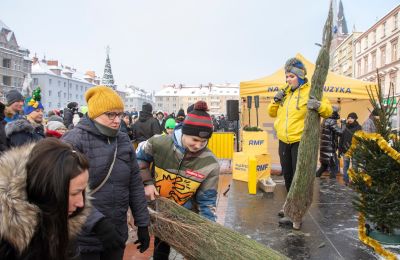 Już w poniedziałek RMF FM rozda setki choinek w