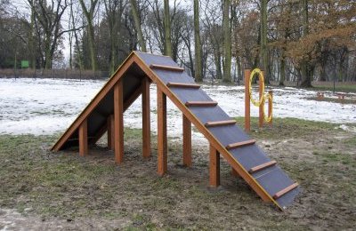 Ogrodzony i z torem przeszkód. Wybieg dla psów j
