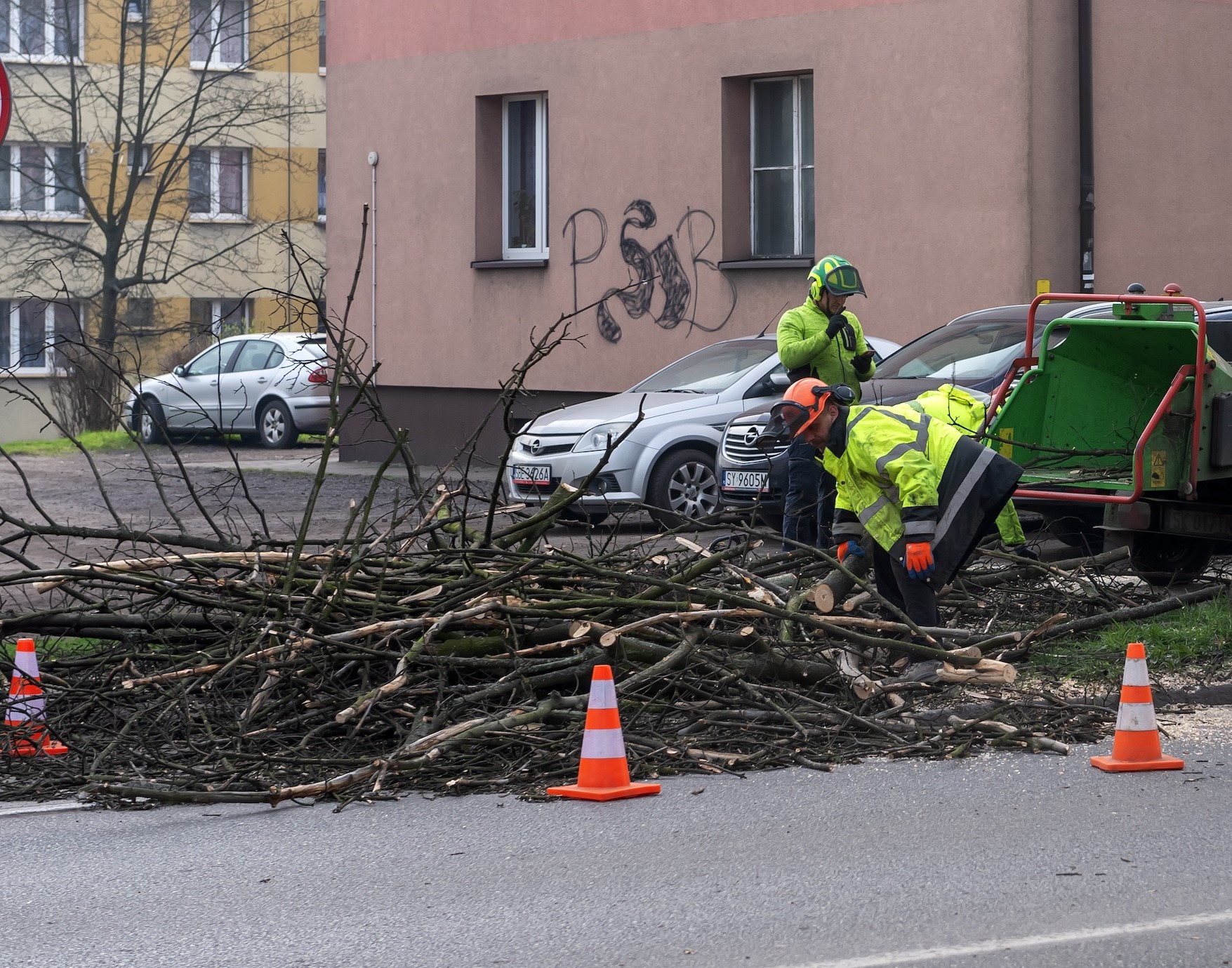 Prace pielęgnacyjne przy ul. Konstytucji 