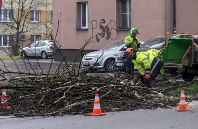 Drzewa zagrażające bezpieczeństwu do wycinki