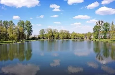 Sprzątanie Parku Amendy