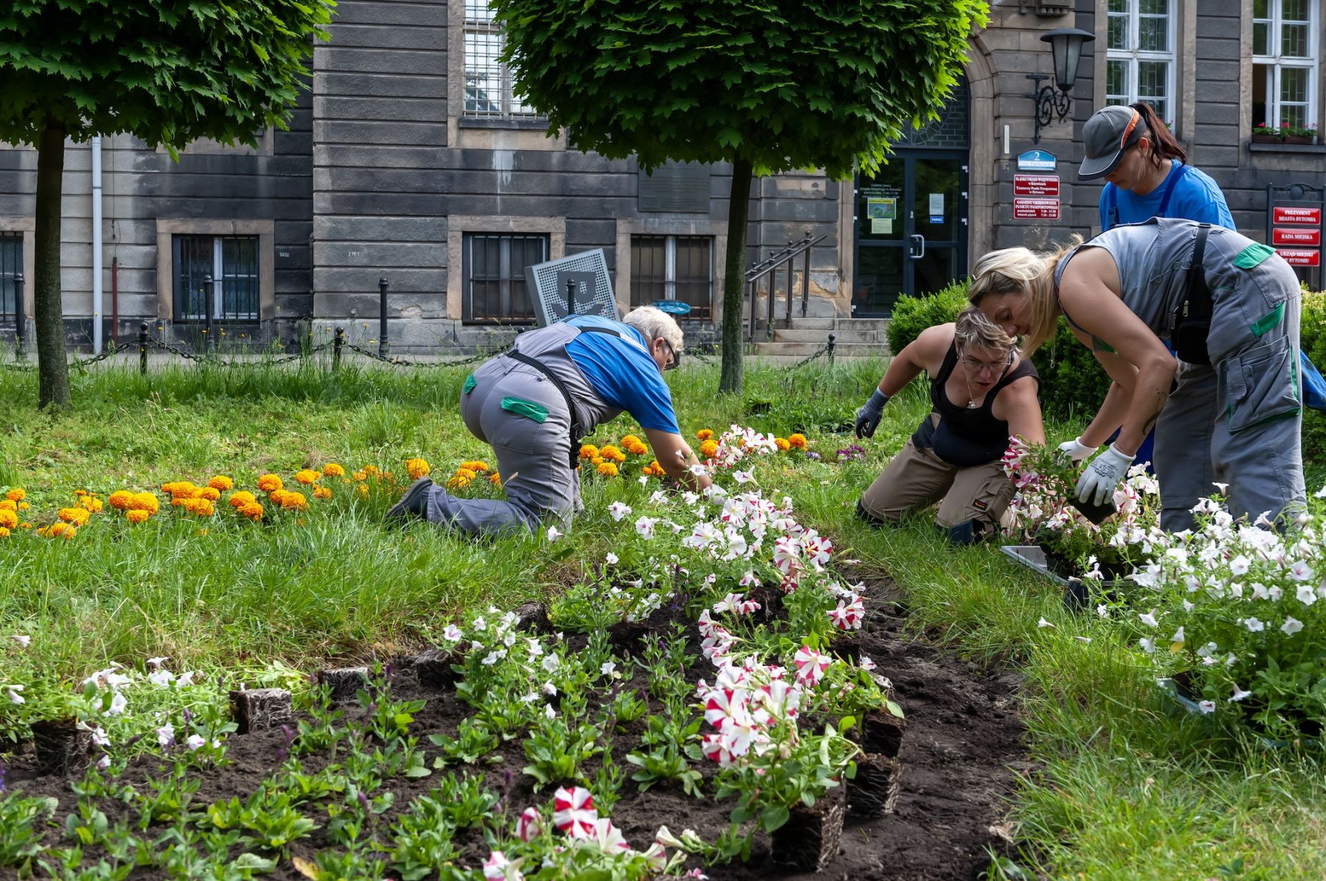 Nasadzenia kwiatów na skwerze przed Urzędem Miejskim 