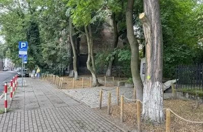 Trwają prace pielęgnacyjne i wycinka chorych drz