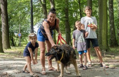 Spacer z psem po parku Tiele-Wincklerów