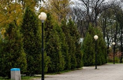 Kolejne oprawy oświetleniowe zostaną wymienione