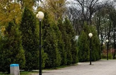 Kolejne oprawy oświetleniowe zostaną wymienione