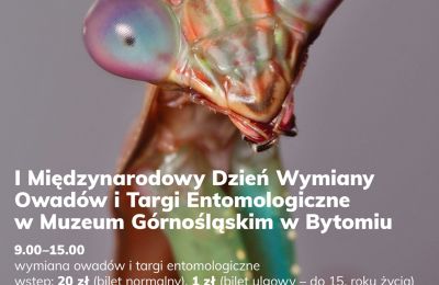 I Międzynarodowy Dzień Wymiany Owadów i Targi E
