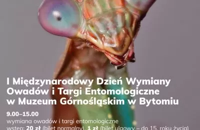 I Międzynarodowy Dzień Wymiany Owadów i Targi E