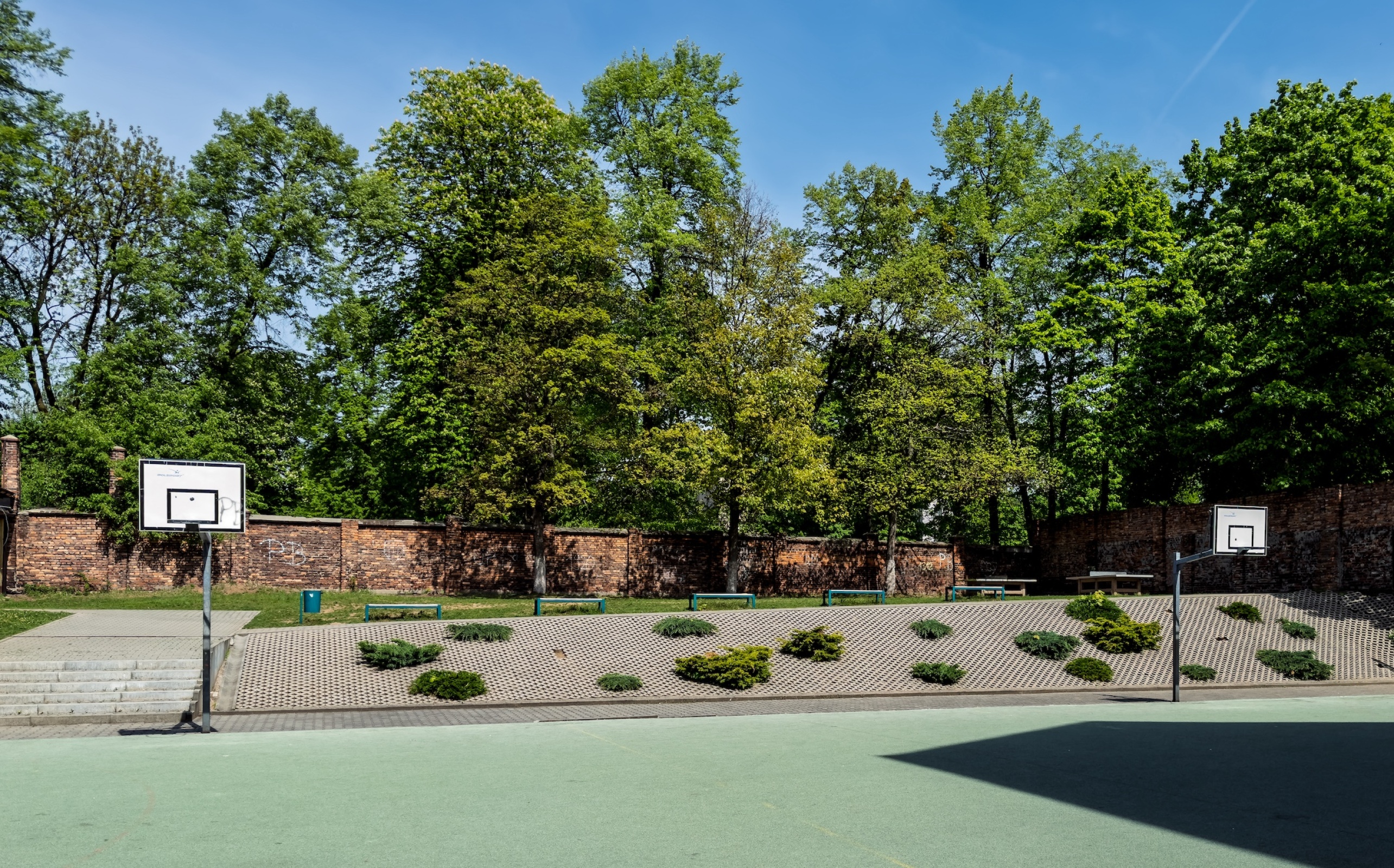 Teren Szkoły Podstawowej nr 5, na kórym powstanie strefa relaksu