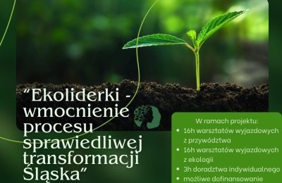 Weź udział w bezpłatnych warsztatach dot. proce