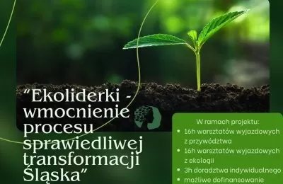 Weź udział w bezpłatnych warsztatach dot. proce