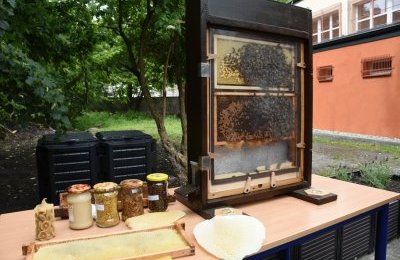 Niebieskie pszczoły nad Bytomiem - otwarcie ekopr