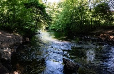 "Klimatyczna Bytomka" – warsztaty na rzecz zdrow