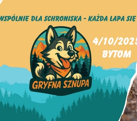 Aktywnie, na sportowo i charytatywnie