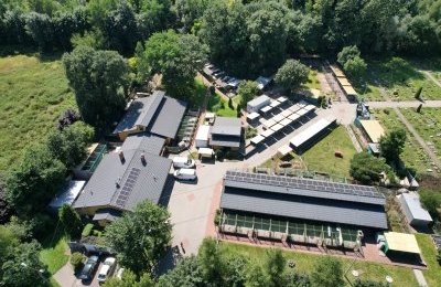 Bytomskie schronisko dla zwierząt po kontroli
