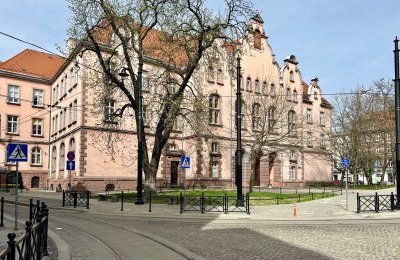 Nowy pomnik przyrody w Bytomiu