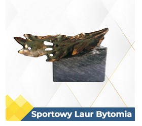 Sportowy Laur Bytomia. Zgłoś swoich kandydatów
