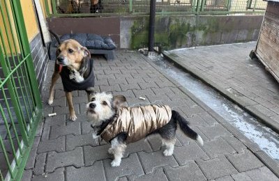 Gmina przejęła bezpośrednią opiekę nad bezdom