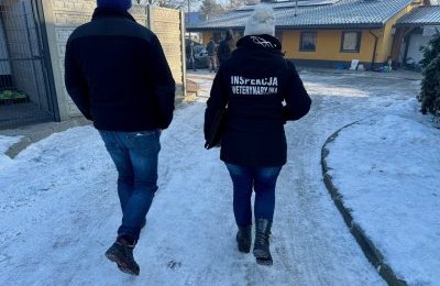 Inspekcja Powiatowego Lekarza Weterynarii w schron