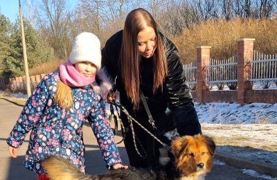 Poznaj psa i przemyśl adopcję. Ruszają spacery 