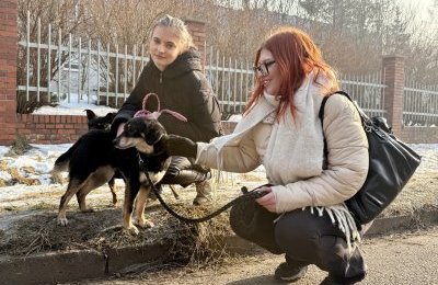 Pierwsze zmiany organizacyjne w Urzędzie Miejskim