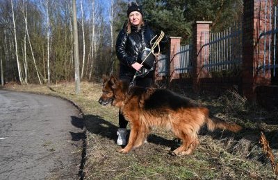 Psy wyszły na kolejny spacer