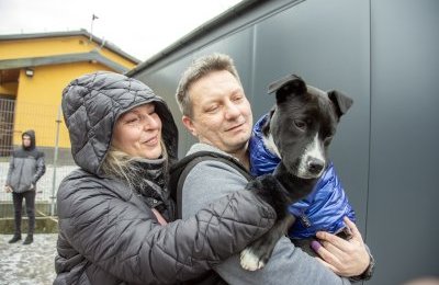 Ze schroniska do kochającego domu. Ruszyły adopc