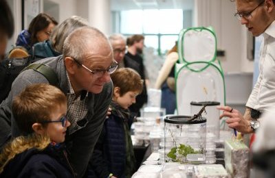 Motyle, chrząszcze i pająki. Zachwyć się róż