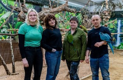 Araland – ptasia przystań w sercu miasta