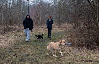 Psy ze schroniska kolejny raz wyszły na spacer z 