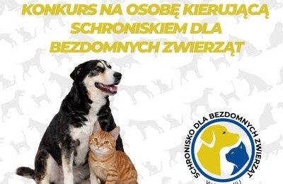 Nabór na kierownika Schroniska dla Bezdomnych Zwi