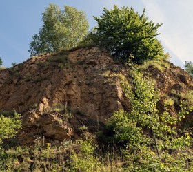 Walory przyrodnicze terenów pogórniczych w Bytom
