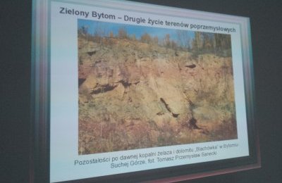 Dawne kopalnie przywrócone naturze