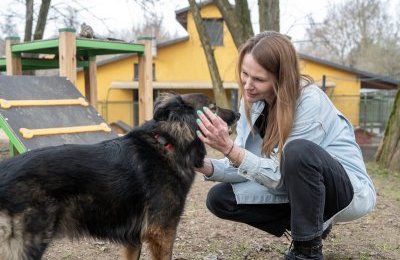 Schronisko dla Bezdomnych zwierząt ma nową szefo
