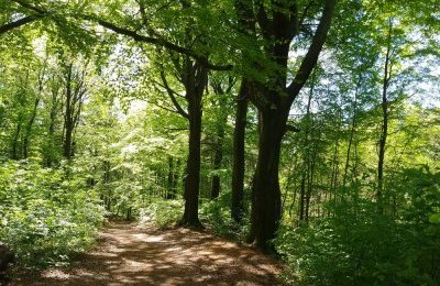 Nie masz planów na weekend? Weź udział w biegu 
